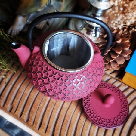 Théière Aka, 0,8L rouge cinabre