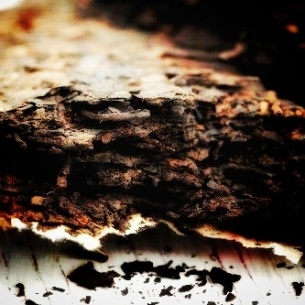 Montagne Jing-mai galette de thé noir de Pu-erh 2