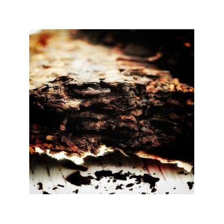 Montagne Nan-nuo galette de thé noir de Pu-erh