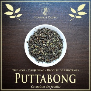 Darjeeling Puttabong printemps FTGFOP1