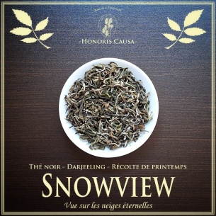 Darjeeling Snowview printemps FTGFOP1