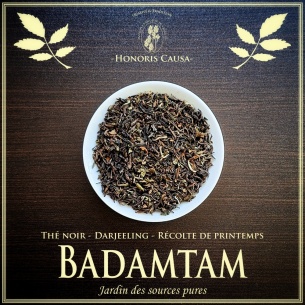 Darjeeling Badamtam printemps FTGFOP1