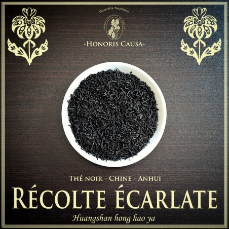Récolte écarlate thé noir Anhui