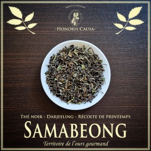 Darjeeling Samabeong printemps FTGFOP1