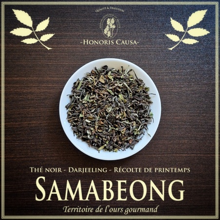 Darjeeling Samabeong printemps FTGFOP1
