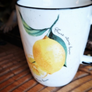 Tasse citron de Vénétie 2