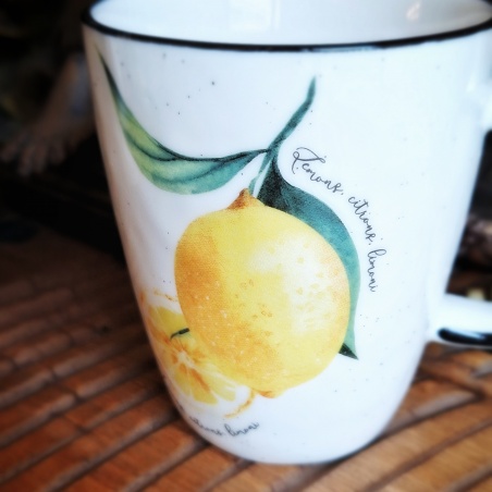 Tasse citron de Vénétie
