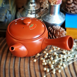 Théière Tokoname aka Japon 2