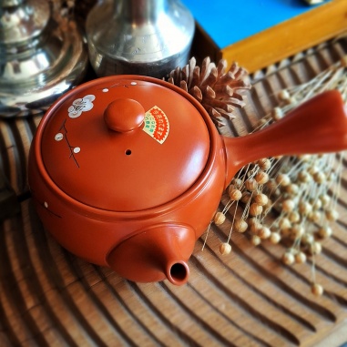 Théière Tokoname aka Japon