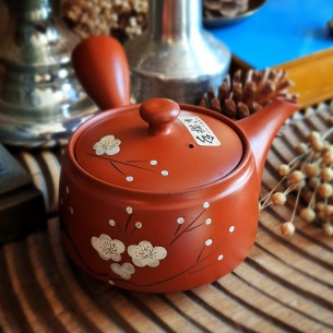 Théière Tokoname sukoshi Japon
