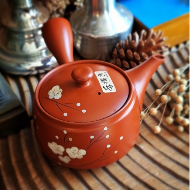 Théière Tokoname sukoshi Japon