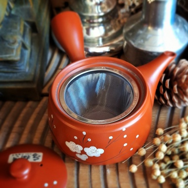 Théière Tokoname sukoshi Japon