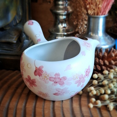 Théière Tokoname futanashi Japon