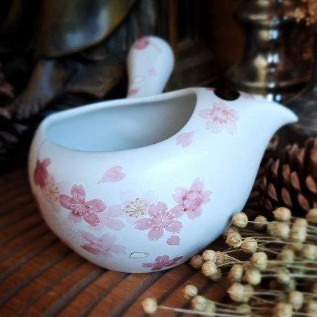 Théière Tokoname futanashi Japon