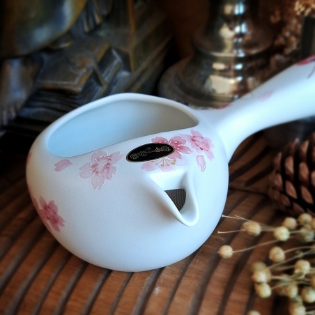 Théière Tokoname futanashi Japon