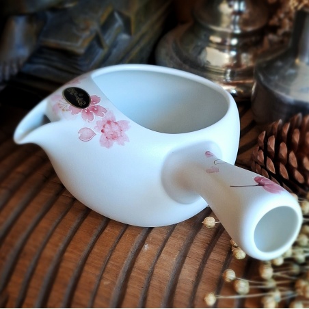 Théière Tokoname futanashi Japon