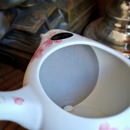 Théière Tokoname futanashi Japon