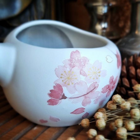 Théière Tokoname futanashi Japon