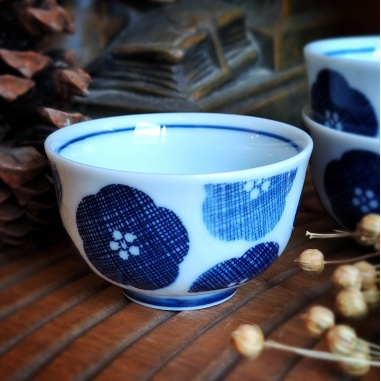 Tasse pavillon d'argent porcelaine du Japon