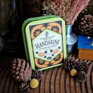 Mandarine satsuma du Japon, thé vert coffret 30 sachets individuels 2