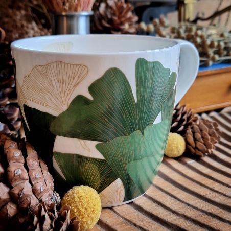 Tasse gingko biloba