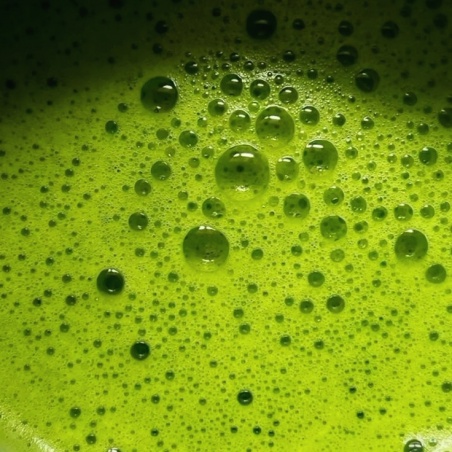 Matcha Chugoku, thé vert poudre