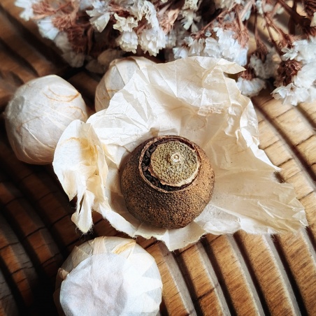 Pu'erh (Shu) mandarine boîte x6