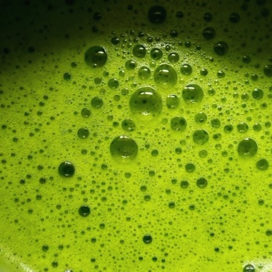 Matcha Himeiji, thé vert poudre x15 dosettes