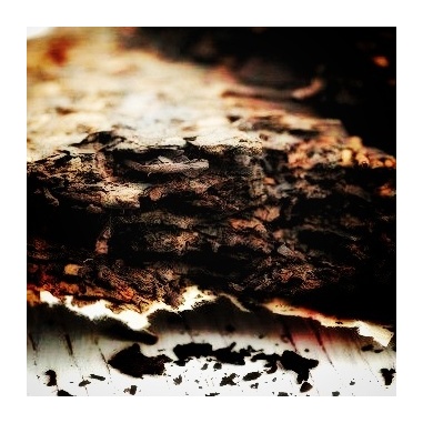 Montagne Man-nong galette de thé noir de Pu-erh