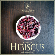 Hibiscus bio Hibiscus sabdariffa