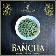 Bancha thé vert bio