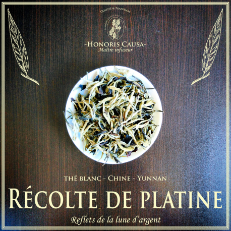 Récolte de platine thé blanc bio