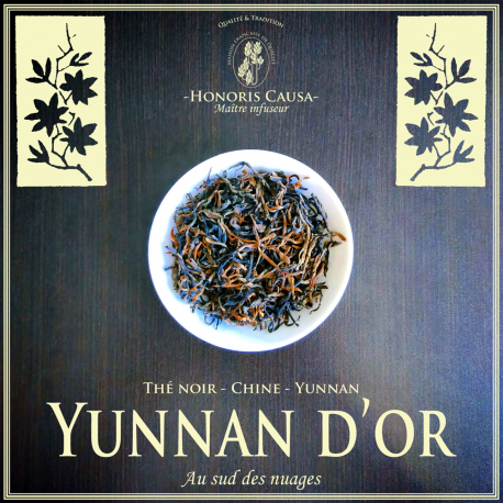 Yunnan d'or thé noir Chine