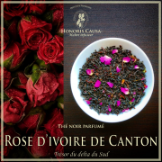 Rose d'ivoire de Canton, thé noir bio