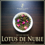 Lotus de Nubie thé vert parfumé