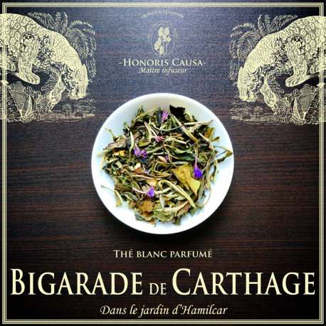 Bigarade de Carthage, thé blanc bio
