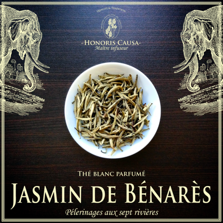 Jasmin de Bénarès, thé blanc biologique