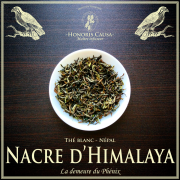 Népal, Nacre d'Himalaya thé blanc bio