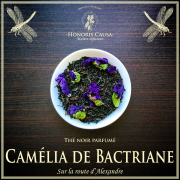 Camélia de Bactriane thé noir bio