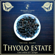 Malawi, Thyolo thé noir fumé
