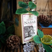Nabab, thé vert glacé bio