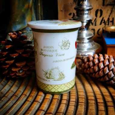 tasse botanica fraise tasse botanica fraise