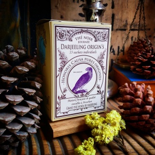 Darjeeling origin's thé noir sachets individuels