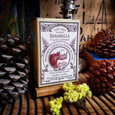 Shamballa, thé vert sachets individuels