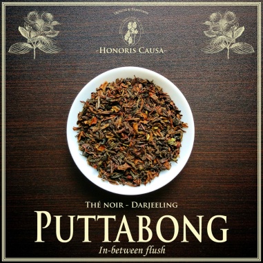 Darjeeling Puttabong SFTGFOP1 In-between