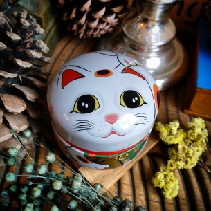 Boîte Maneki-neko blanche, 80 gr 2