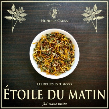 Etoile du matin, infusion