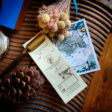 Jardin d'hiver infusion