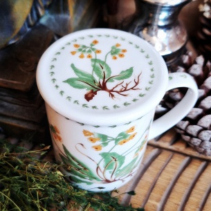 Tasse Herculanum "Primevères" 2