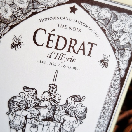 Cédrat d'Illyrie, thé noir sachets individuels